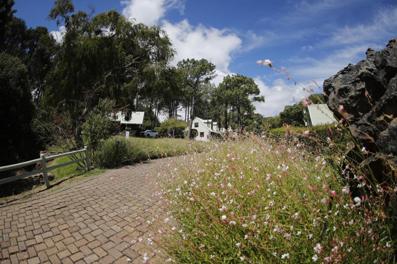 Strelitzia Cottage Cape Town Eksteriør bilde